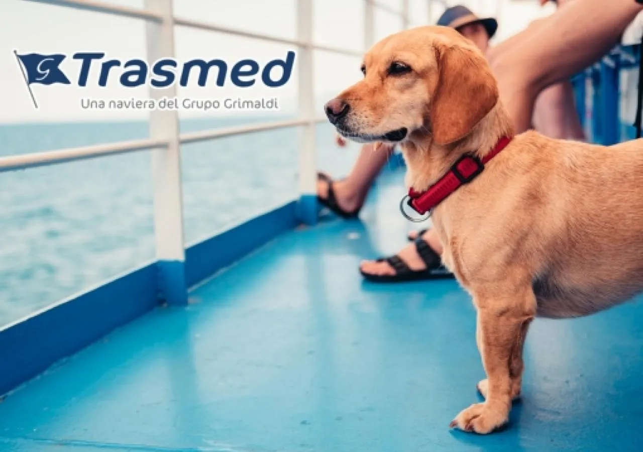 Viajar en Ferry con tu Perro